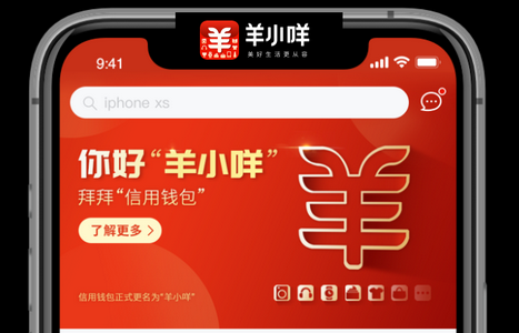 解密：羊小咩购物额度怎么取出来秒到账？5个步骤详解