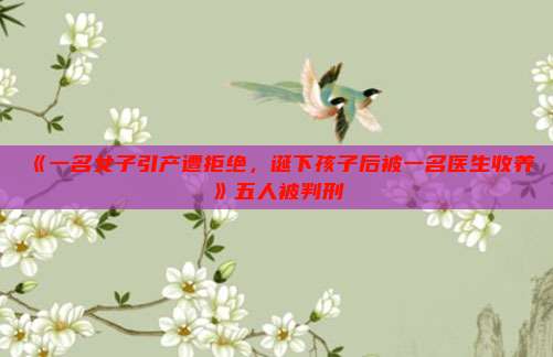《一名女子引产遭拒绝,诞下孩子后被一名医生收养》五人被判刑